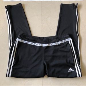 Adidas Training Pants Large